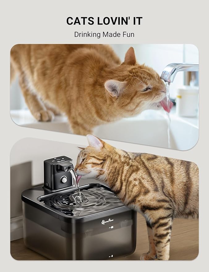 Petglidee Cordless Cat Water Fountain – 84oz/2.5L Wireless Pet Drinking Fountain with Motion Sensor & Rechargeable Battery | BPA-Free, Quiet & Easy Clean