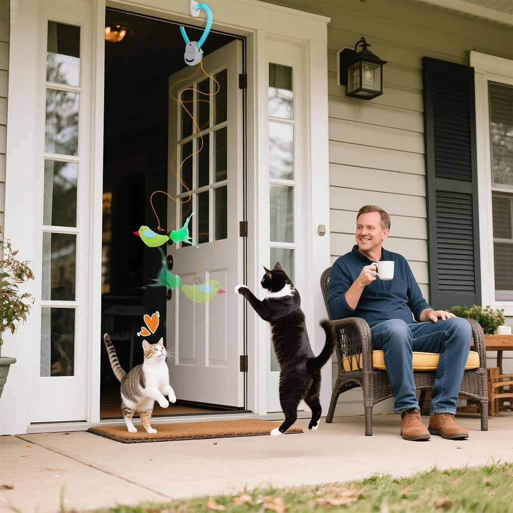 Enrichment toy for kittens and adult cats indoors