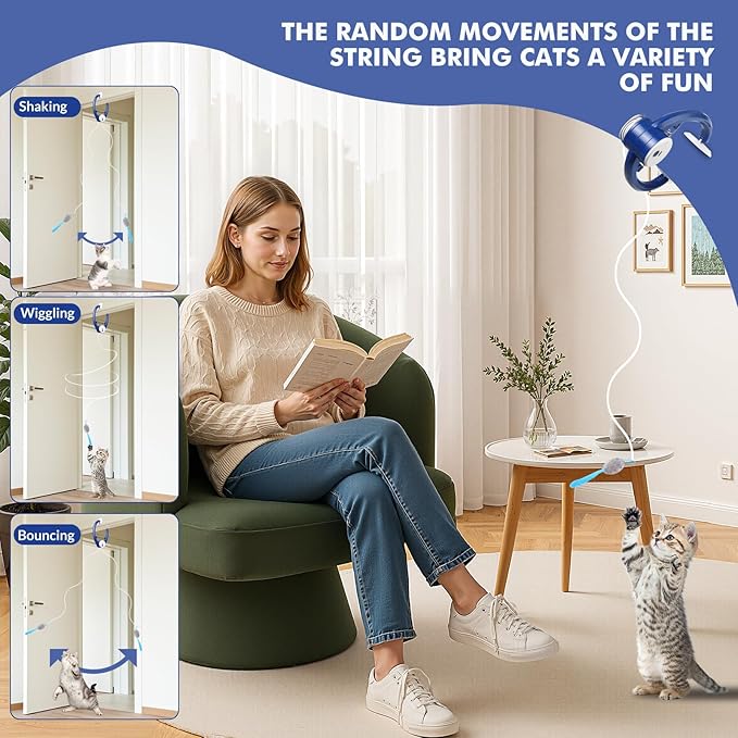 Petglidee hanging cat toy attached to a door frame.