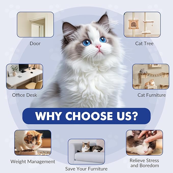 Petglidee cat toy set with feather mice, ropes, and instructions.