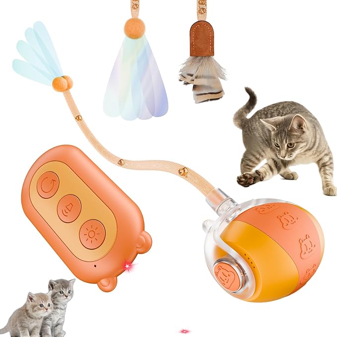 Petglidee Smart Interactive Cat Toy with Remote Control